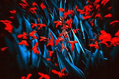 《极限竞速：Motorsport》MOD优化远距离阴影视觉效果